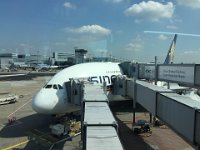 IMG 6431  Unser A380